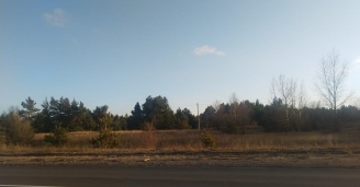 Фото Путешествие под контролем №3